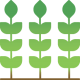 VISION PLANTS (1) VISION PLANTS (1)
