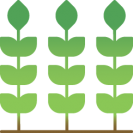 VISION PLANTS VISION PLANTS